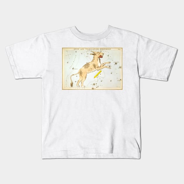 Lynx constellation Kids T-Shirt by MiRaFoto